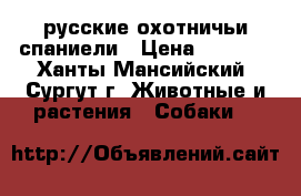 русские охотничьи спаниели › Цена ­ 5 000 - Ханты-Мансийский, Сургут г. Животные и растения » Собаки   